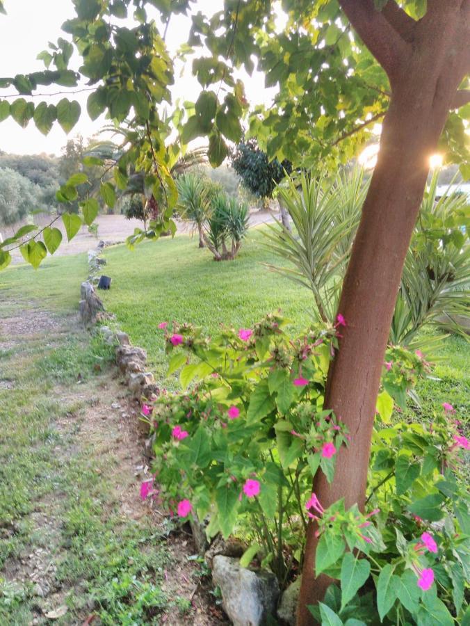 Quinta Da Perdiz Country House Villa ซานตาเร็ง ภายนอก รูปภาพ